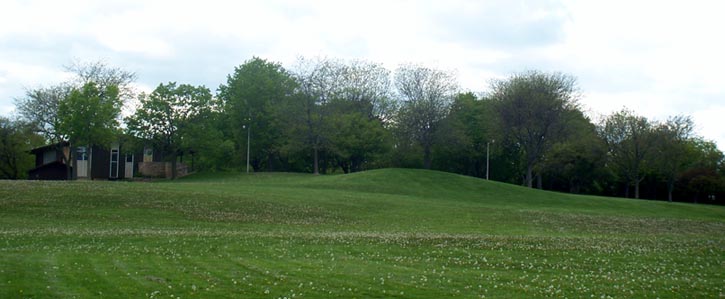 Summertime at LaFollette Park